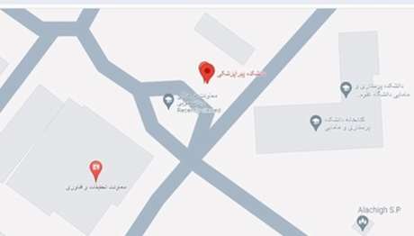 google map image